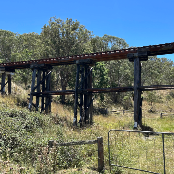 Wooden railway trestle bridge over grassy landscape with trees and blue sky.