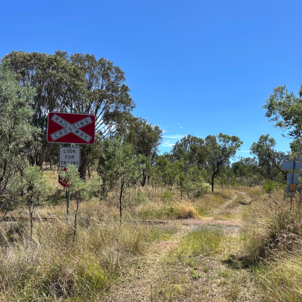 Rural railway crossing sign in grassy area with trees and clear blue sky.